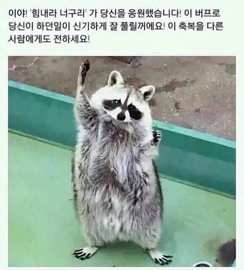 choru0425's tweet photo. @angelcakelim 힘내요! 함께 걸읍시다 https://t.co/ksGlAeYCNk