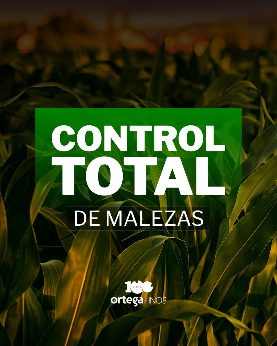OrtegaHermanos's tweet photo. ¿Buscás un cultivo saludable y libre de malezas?

La exclusiva fórmula de #Gesaprim con atrazina en formulación granulada, es potencia para eliminar las malezas de raíz! 🌿💥

Estamos para vos 📲 (3534) 236367
info@ortegahermanos.com.ar
https://t.co/xfjV5UouIT https://t.co/pfoux7xf4B
