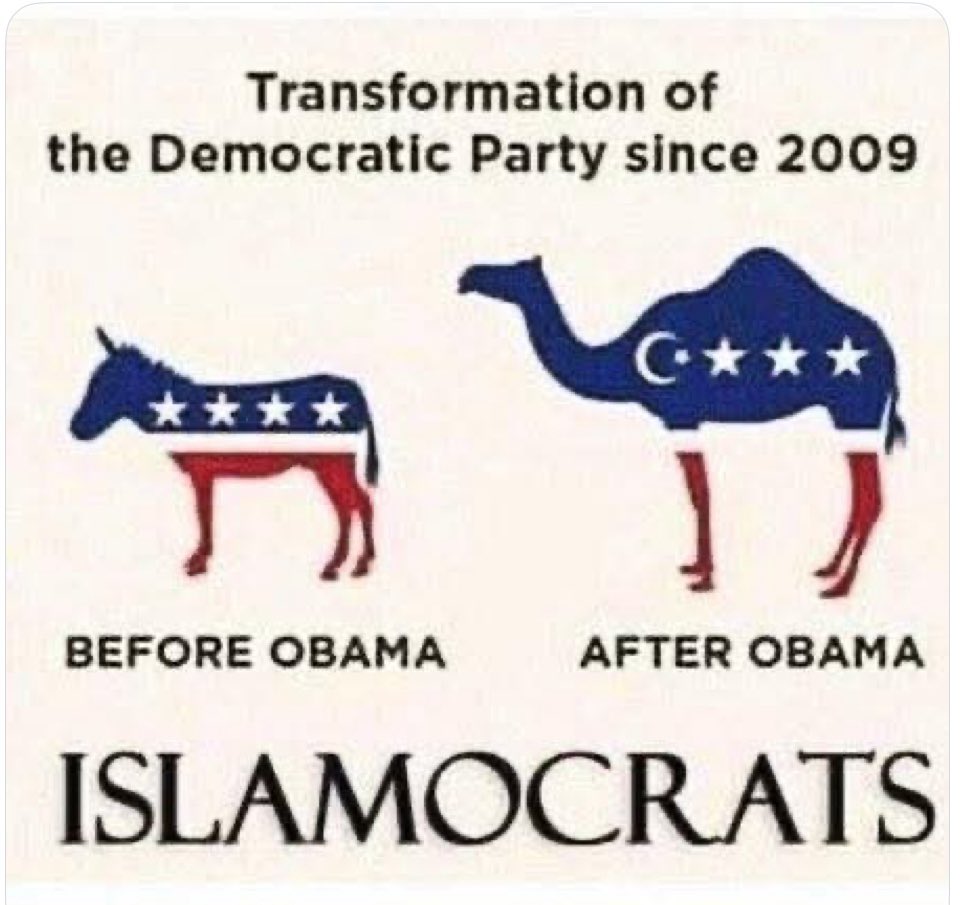 beachguy904's tweet photo. @GuntherEagleman The somalis' culture is ALL about lie, cheat, and steal.
Take back the money and send them ALL BACK! https://t.co/zvB53CV8mI
