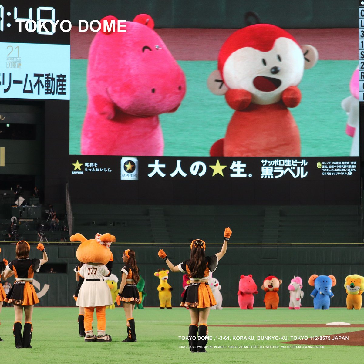 東京ドーム に #たべっ子どうぶつ が登場！???? 本日行われた 