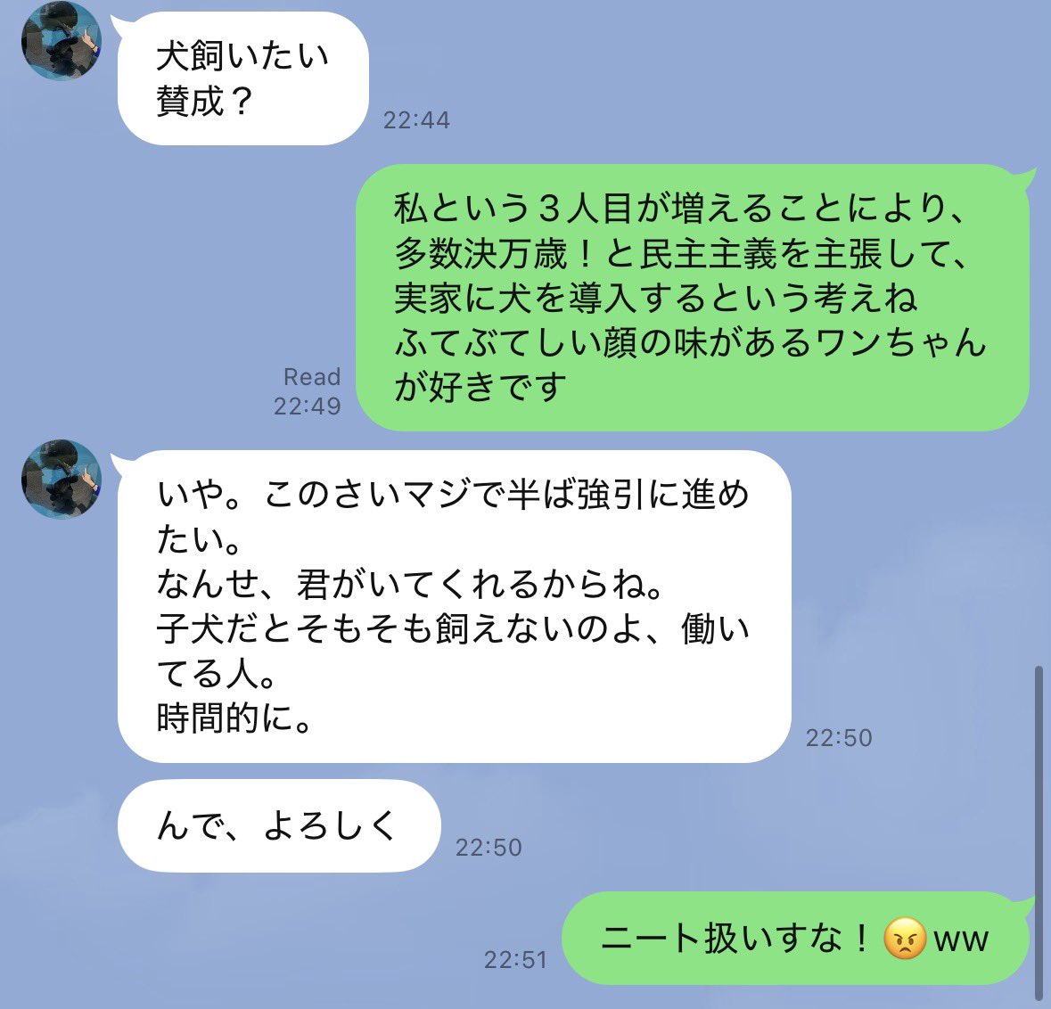 matmantao's tweet photo. 実家のモモンガ2匹に加えて、妹が数年前から熱望してたワンちゃんが増えるぽい… https://t.co/2sbUduboR8