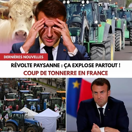 ChristinePP27's tweet photo. Rapport de Pouvoir

📷 EXPLOSION DE COLÈRE DANS LES CAMPAGNES FRANÇAISES ! 
En  Ariège, plus de 500 personnes venues de plusieurs départements se sont  rassemblées autour d’une exploitation agricole pour empêcher l’abattage  de 208 vaches après la découverte d’un seul cas de maladie. 📷 Des barrages ont été installés, des dizaines de tracteurs bloquent les  accès et la mobilisation continue de grossir avec le soutien  d’agriculteurs issus de plus de 8 départements. 📷Face  à cette situation devenue explosive, certains représentants agricoles  parlent ouvertement de la « dernière action avant la violence ». Se  cache une question qui inquiète désormais des milliers d’éleveurs  partout en France : si un troupeau entier peut être sacrifié pour un  seul cas détecté, combien d’autres exploitations pourraient être  concernées demain ? 🫵 Et qu’est-ce qui pousse aujourd’hui autant  d’agriculteurs à se révolter contre des décisions qu’ils jugent  incompréhensibles ? Lisez l'article complet ci-dessous. 📷 
𝙇'𝙃𝙄𝙎𝙏𝙊𝙄𝙍𝙀 𝘾𝙊𝙈𝙋𝙇𝙀̀𝙏𝙀: https://t.co/hvpcuTKxFA...