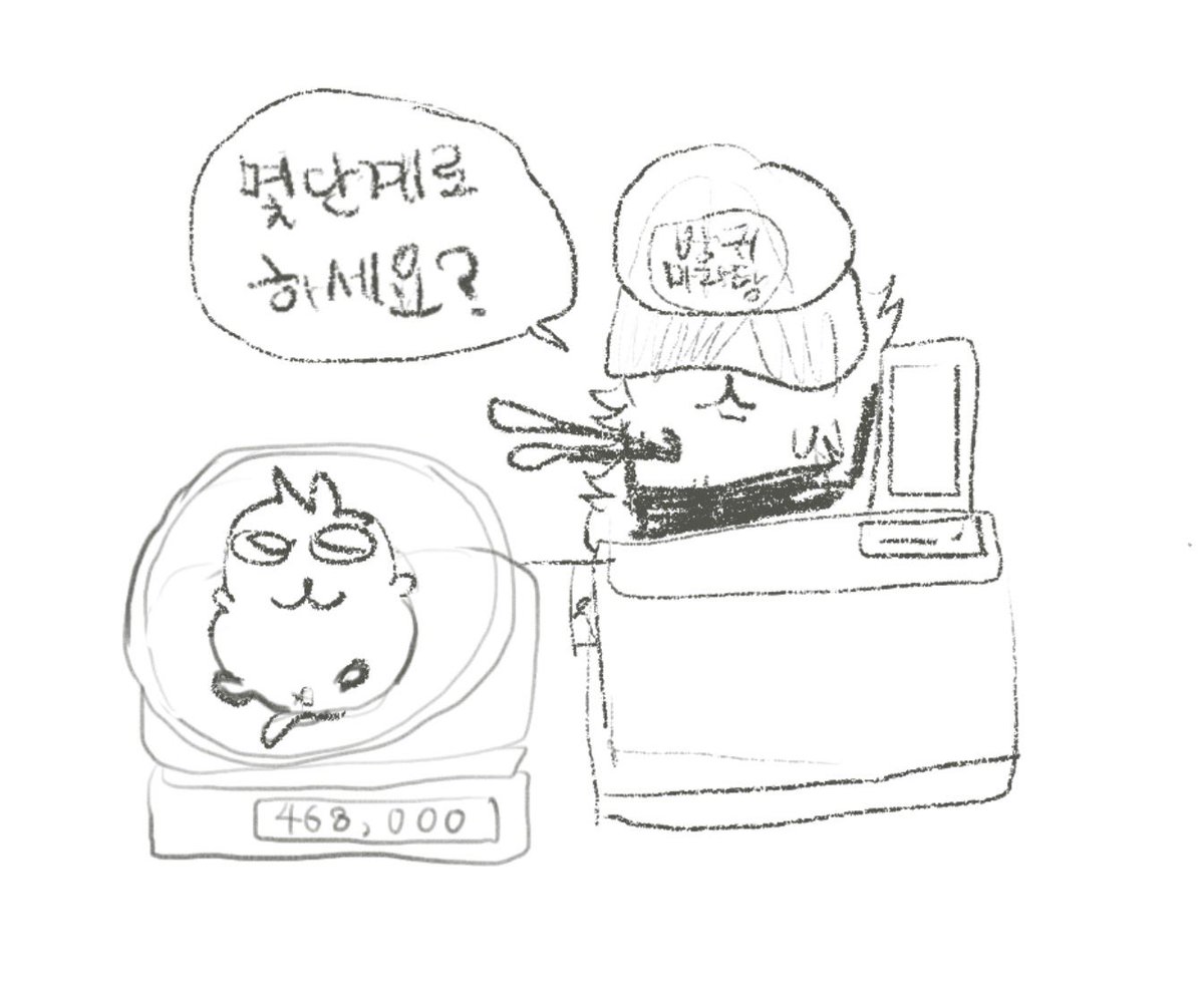 버터감자 tweet media