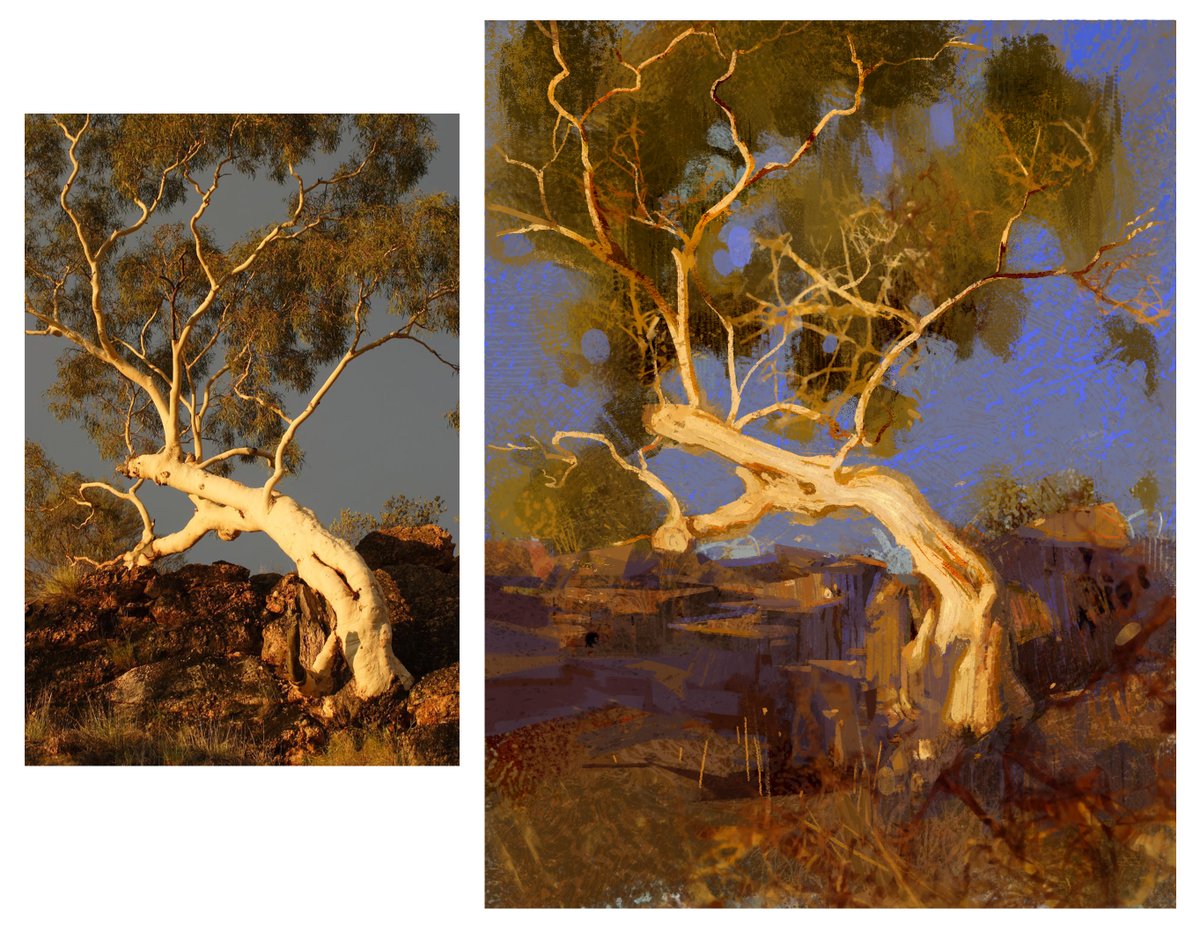 gurpreet_sagguU's tweet photo. Tree study🌿 https://t.co/UjkGiBPvVp