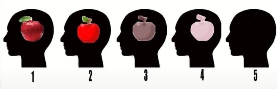 _4L3X1's tweet photo. @butletmesayths This test but for the ability to visualize yourself in a baby tee in various colors https://t.co/j4kyAaegER