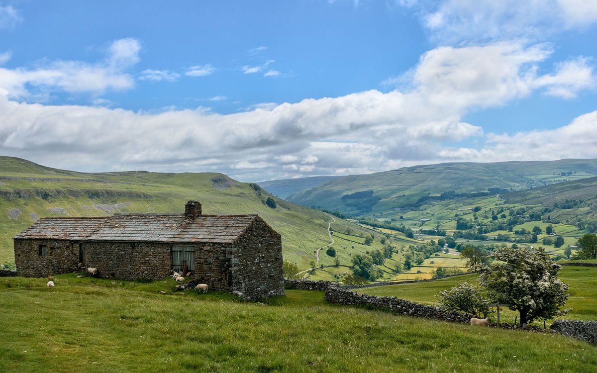MaureenPlatts's tweet photo. Kisdon House, Swaledale, Yorkshire Dales NP https://t.co/KekrHSZpAL