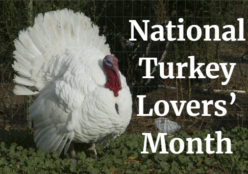 RepFischbach's tweet photo. June is National Turkey Lovers' Month, and in Minnesota, that's something worth celebrating!

Minnesota is home to over 400 turkey farms and is the country's #1 turkey-producing state! Our hard-working farmers raise the best birds in the business. https://t.co/3n9o1hEptJ