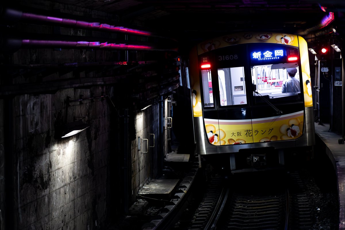 daimorimidori's tweet photo. 6月1日から突如現れた大阪花ラングラッピング車両
3日間朝のみの運用でしたが今日初めて夕方にも運用していました👀 https://t.co/ZHiC1US0tC
