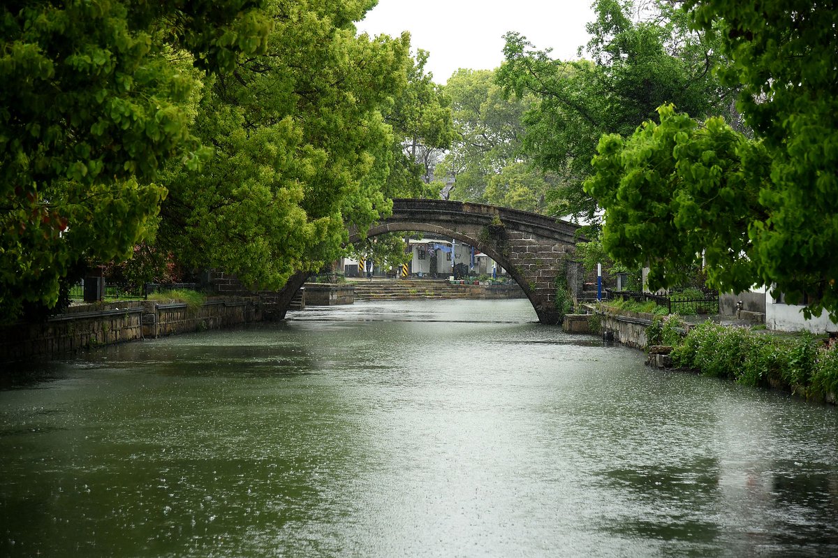 QingpuShanghai's tweet photo. #GreenQingpu Happy #WorldEnvironmentDay from #Qingpu! 🌿 With its wetlands, parks and waterways, Qingpu is committed to building a greener and more sustainable future. #nature https://t.co/ud2K4Q3zON