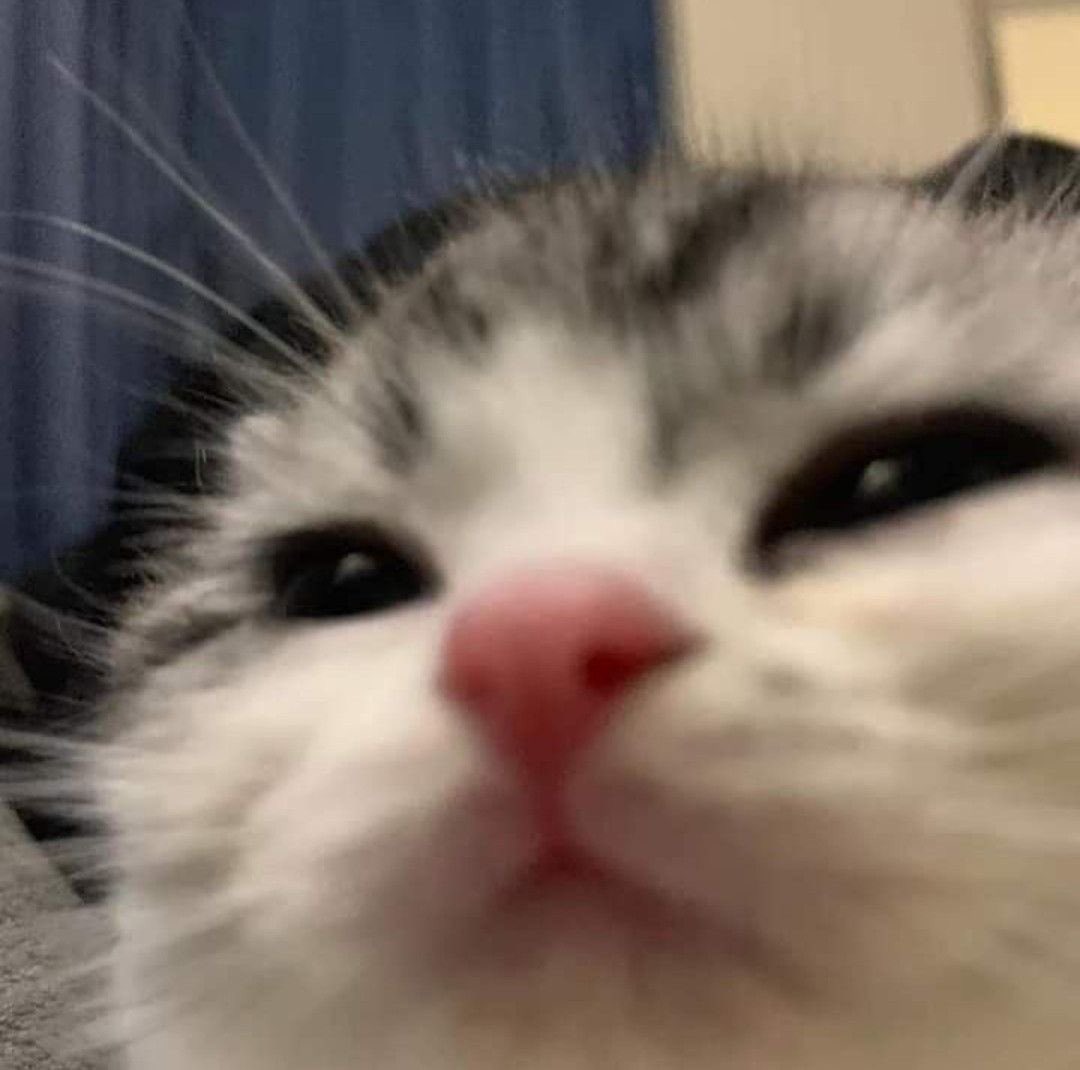 MaskPoka's tweet photo. 20 likes y lo hago https://t.co/W7SIfJShQj
