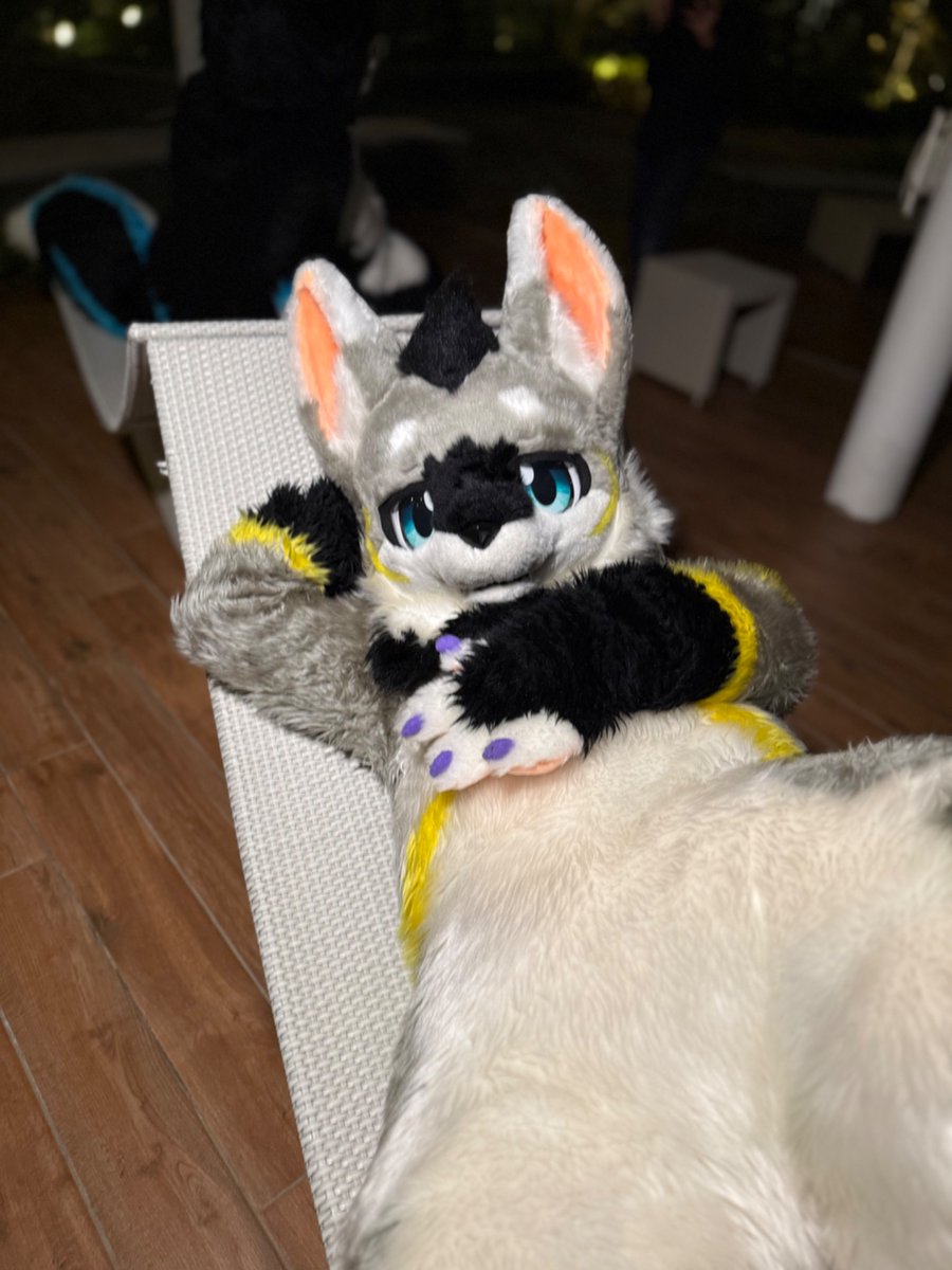 aileloup_kemo's tweet photo. この場所は僕が貰ったもんね〜！！
#FursuitFriday https://t.co/JvTBGyJ0Yz