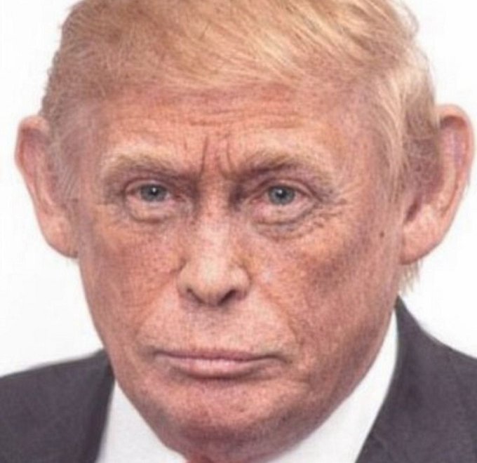 Celt404's tweet photo. Orange man habbi https://t.co/LipHPg0ezd