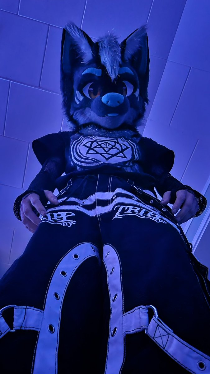 TezziFox's tweet photo. Ooh you soo tiny down there ^w^
#furry #furrygayㅤ #furrymale https://t.co/MQsT40CM3d