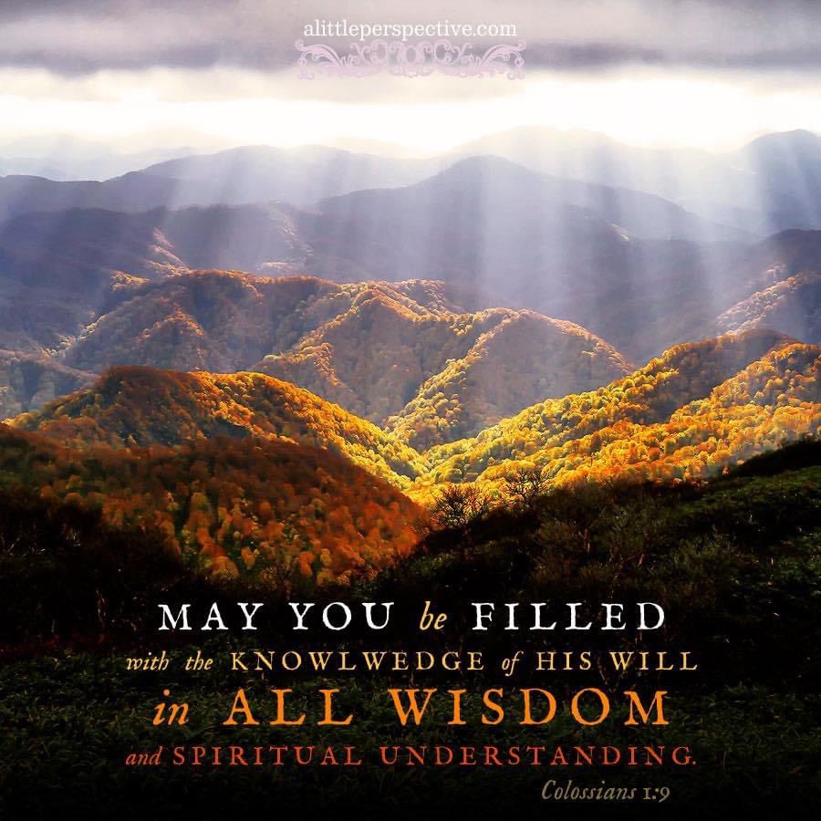 JimSuttle5's tweet photo. I pray that you and I know God’s will

God’s will is best for our lives

We can know God’s will

Knowing God’s will comes through wisdom.  Knowing God and His Word

Knowing God’s will comes through spiritual understanding.  God directs steps

Let us not cease to pray for this! https://t.co/cd9TfnOt4x