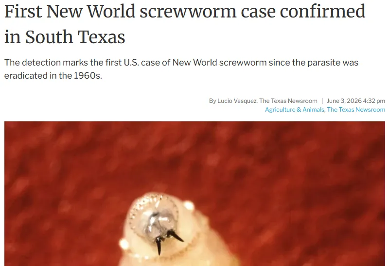 camarotedacpi's tweet photo. Em outras notícias não correlatas

O Texas está em quarentena porque o gado dos EUA está sendo infestado por berne.
—
📰🇺🇸 USA Today https://t.co/sHnObLnldm