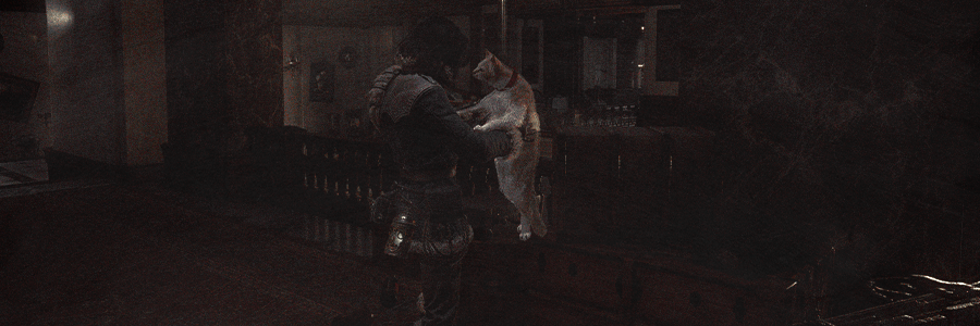 phantompvin's tweet photo. meow . https://t.co/CcA4CWV6AR