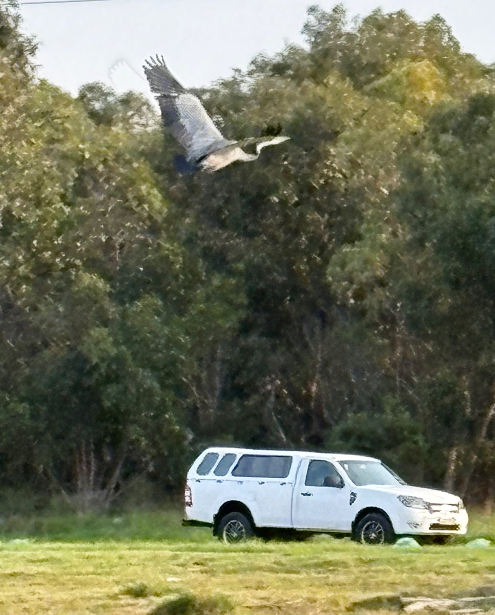 anonymousSA1972's tweet photo. Flyover https://t.co/dsRXiNuYGv