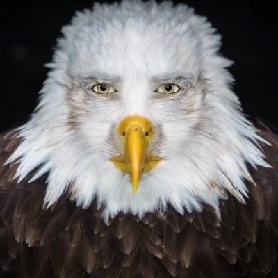 OutcastSeeker tweet media