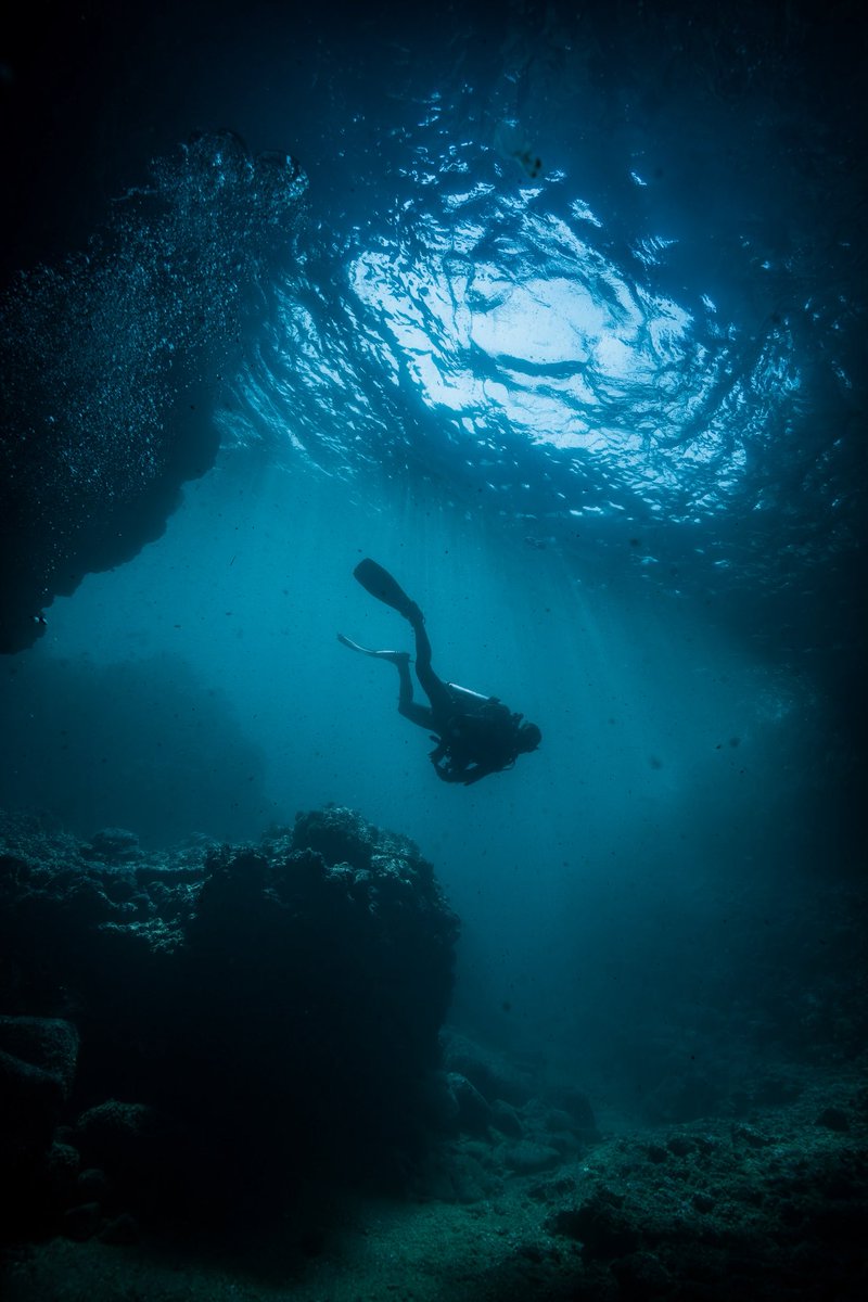 BanderasScuba's tweet photo. Spanish first English next.

El verano ya está aquí. La humedad nos rodea completamente y la mejor forma de combatirla es sumergirte en ella y convertir ese agua salada en parte de tu piel, no es necesario decir que es lo que más nos gusta hacer, solo, verlo y disfrutarlo.
… https://t.co/W4VByzRJ9U