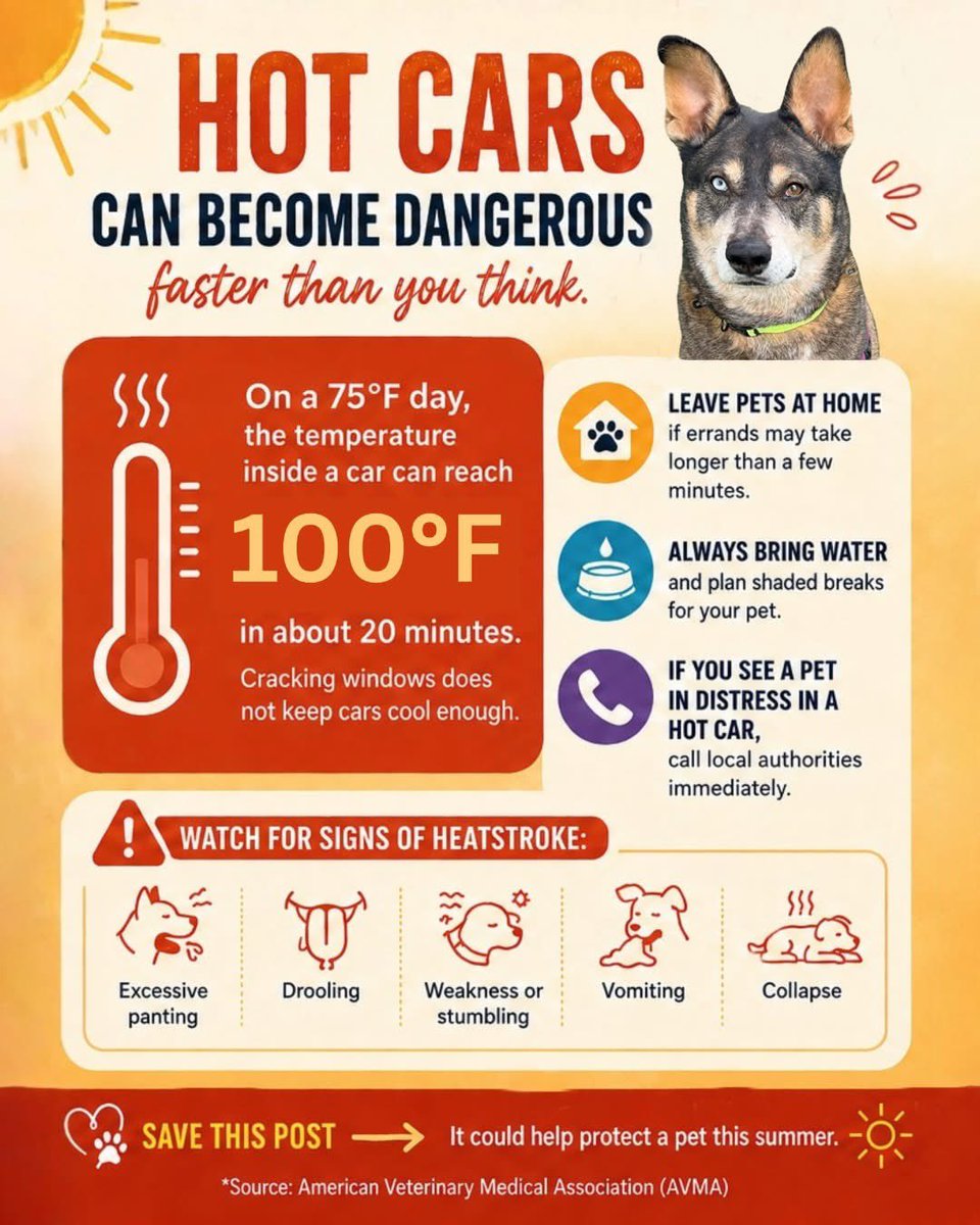 StoneVeterinary's tweet photo. Please, please please, do not leave your pets in a hot car even with the windows cracked a car can still get too dangerously high degrees!                  https://t.co/BcdD8SIw2x https://t.co/rIQ3gHseUI