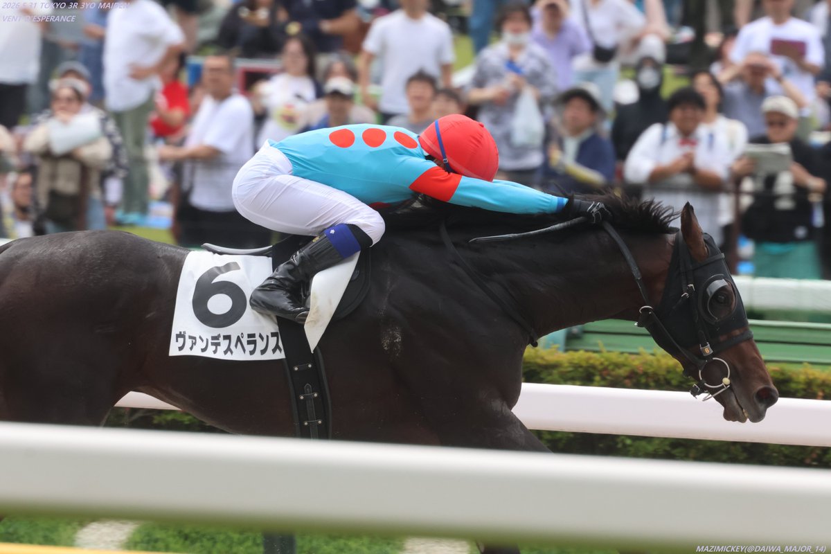 三歳未勝利様確認用 3歳未勝利