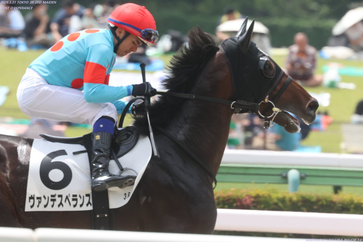 3歳未勝利