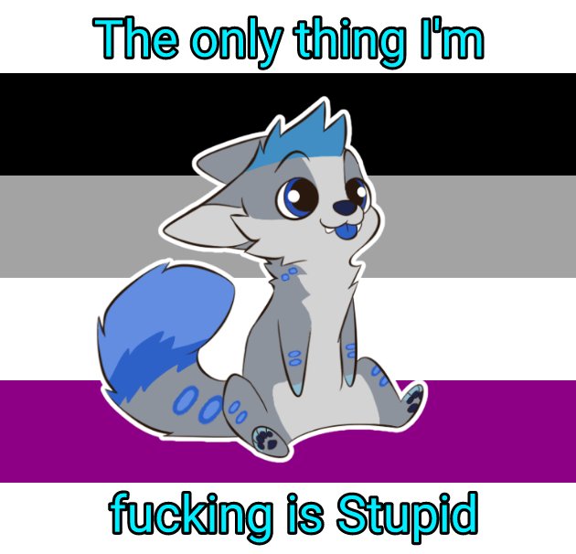 CaelKillara's tweet photo. Happy #Pride, Everyone.
#AcePride https://t.co/GADIdP6Ibx