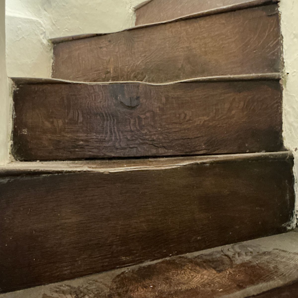 BrookerCo's tweet photo. An oak Servants staircase in a grande Georgian Town House  - we just love the wear on the treads .... we wonder what stories they could tell from over the years  #Brooker&amp;Co #lovesurveying #TheCheshireSurveyor #Nantwich #BuildingSurveys #RICS https://t.co/NDXPmPDsvq