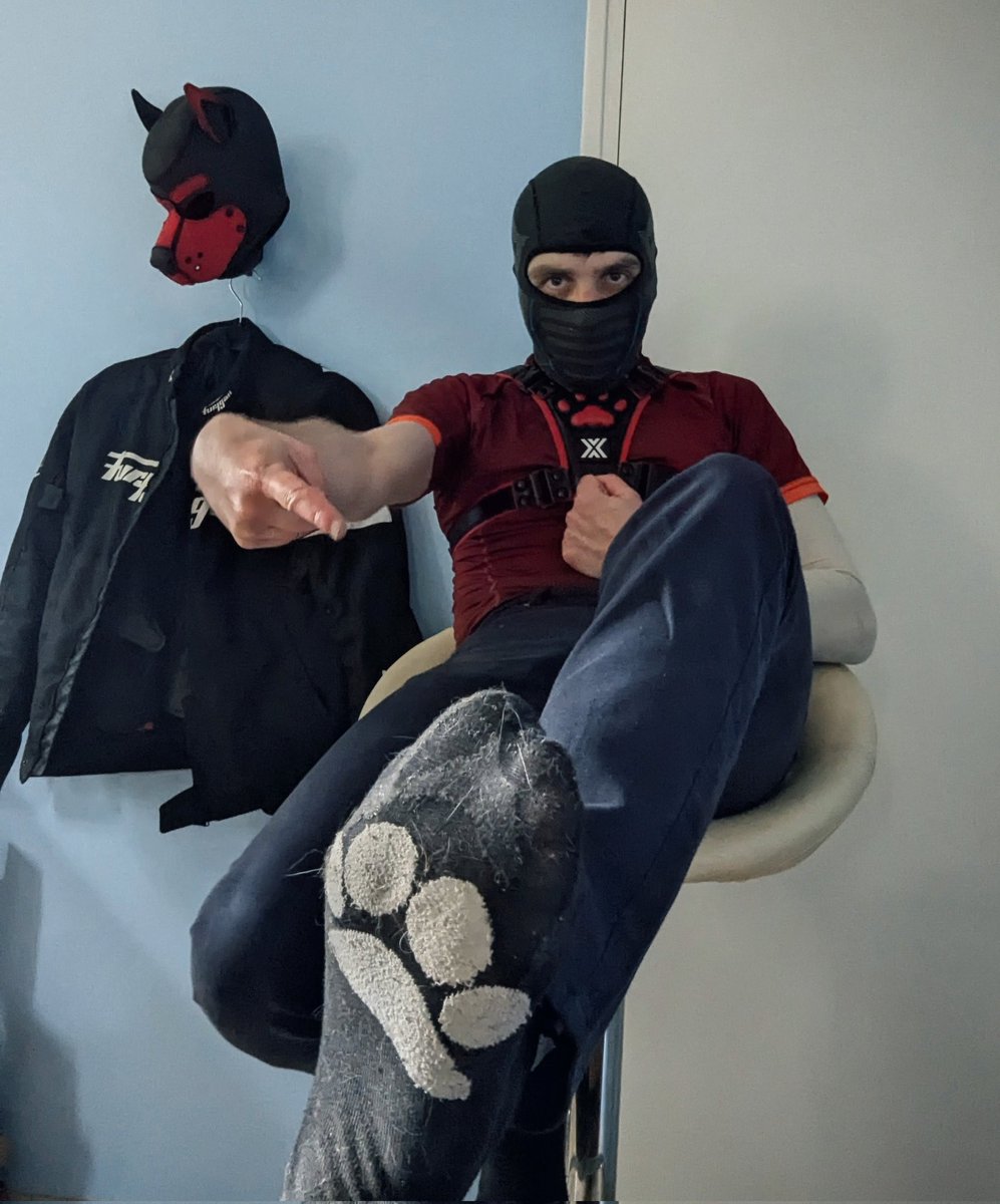 Eref_Puppy's tweet photo. Come to sniff my dirty socks https://t.co/JrEPMUGFdE