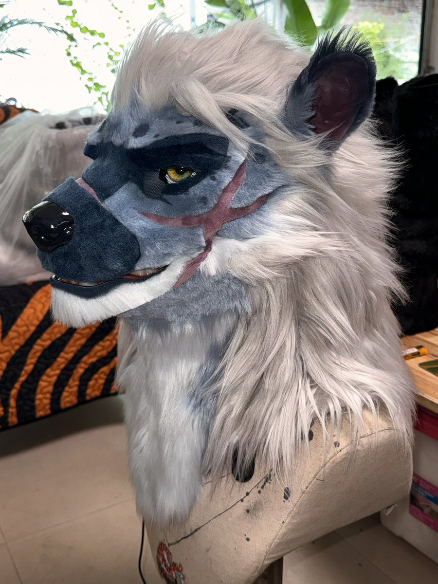 SHAN_JUN_'s tweet photo. 帅帅鬣狗

#fursuitforadopt #山君工坊  #realisticfursuit #furryart #handmade #fursuit #fursuitmaker #兽装 #兽装师  #furryartist #furryartwork #furrycommunity https://t.co/XItZKdTUfG