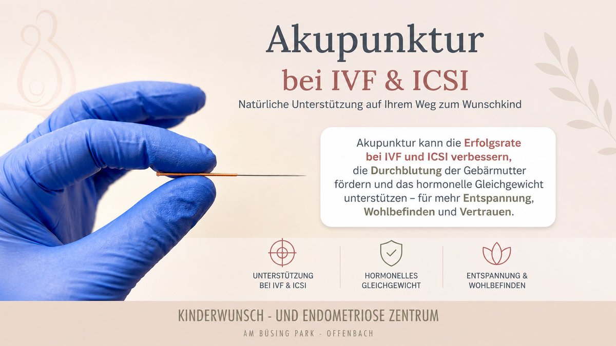 Akupunktur kann Stress reduzieren und das Wohlbefinden whrend IVF/ICSI  frdern. Unser Kinderwunschzentrum Offenbach bietet individuelle Beratung.  #Kinderwunsch #IVF #ICSI #Akupunktur #Reproduktionsmedizin  #KinderwunschzentrumOffenbach