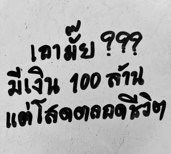 เต้ย tweet media