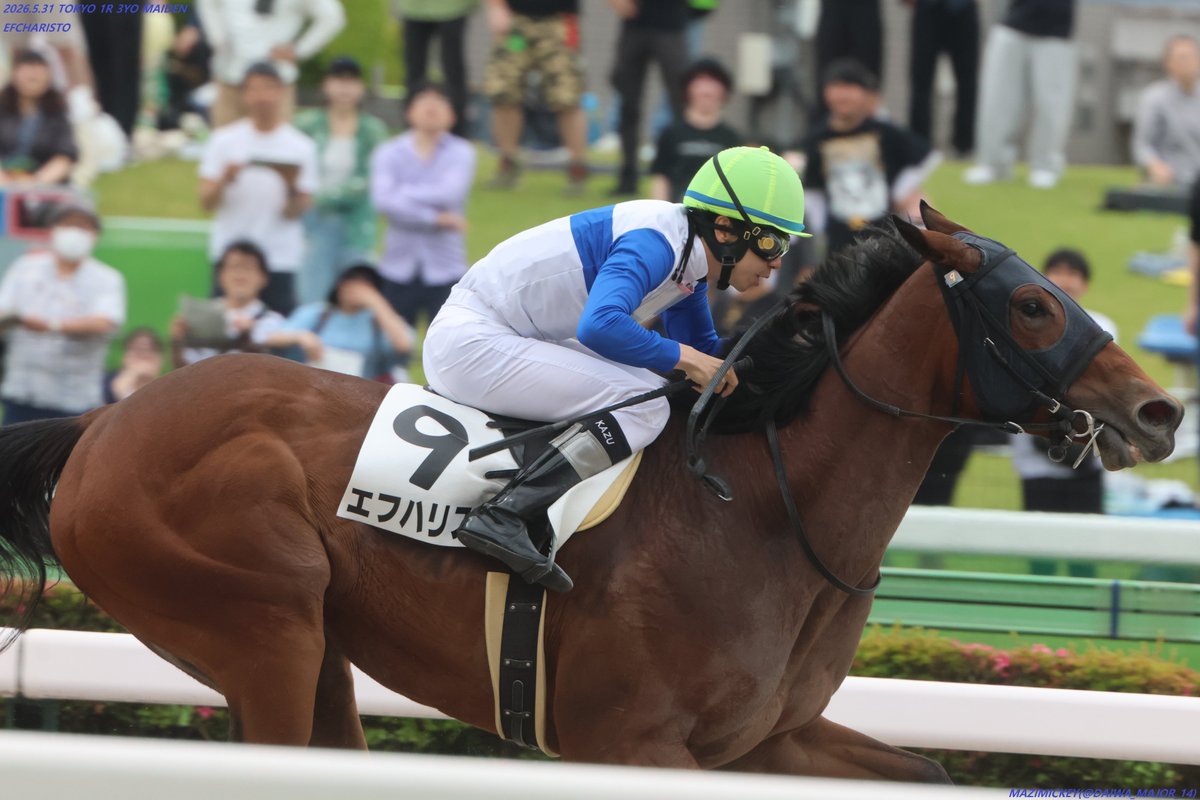 3歳未勝利