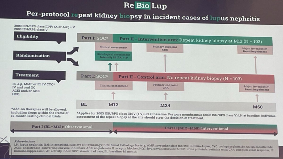 lupus_hub's tweet photo. CONGRESS | #EULAR2026 | PRESENTATION 

Ioannis Parodis shares interim data from the ReBioLup study, evaluating 1-year clinical and histopathological outcomes in incident #LupusNephritis (N = 168). 

• At 1 year, UPCR at repeat biopsy moderately correlated with NIH AI at repeat biopsy (Spearman’s ρ = 0.48; p = 0.001), although 17% of patients had minimal proteinuria (UPCR <0.5 g/g) with persistently high intrarenal activity (NIH AI ≥4).
• Among patients with NIH AI ≥4 at 12 months, 66.7% were complete renal responders.
• Overall, 10.6% of patients had UPCR >1 g/g but NIH AI <3.

Findings highlight discordance between proteinuria and kidney histopathology, supporting repeat biopsy to guide treatment adaptation.

Follow our live feed for more updates: https://t.co/WXrVHDpHZI

Intended for HCPs only. This congress coverage is independently supported by pharmaceutical companies, who are allowed no influence on the content; a full list of supporters can be found on our website. 

#RheumTwitter #rheumatology #MedNews #MedEd #MedicalCongress #lupus @IoannisParodis @KarolinskaInst