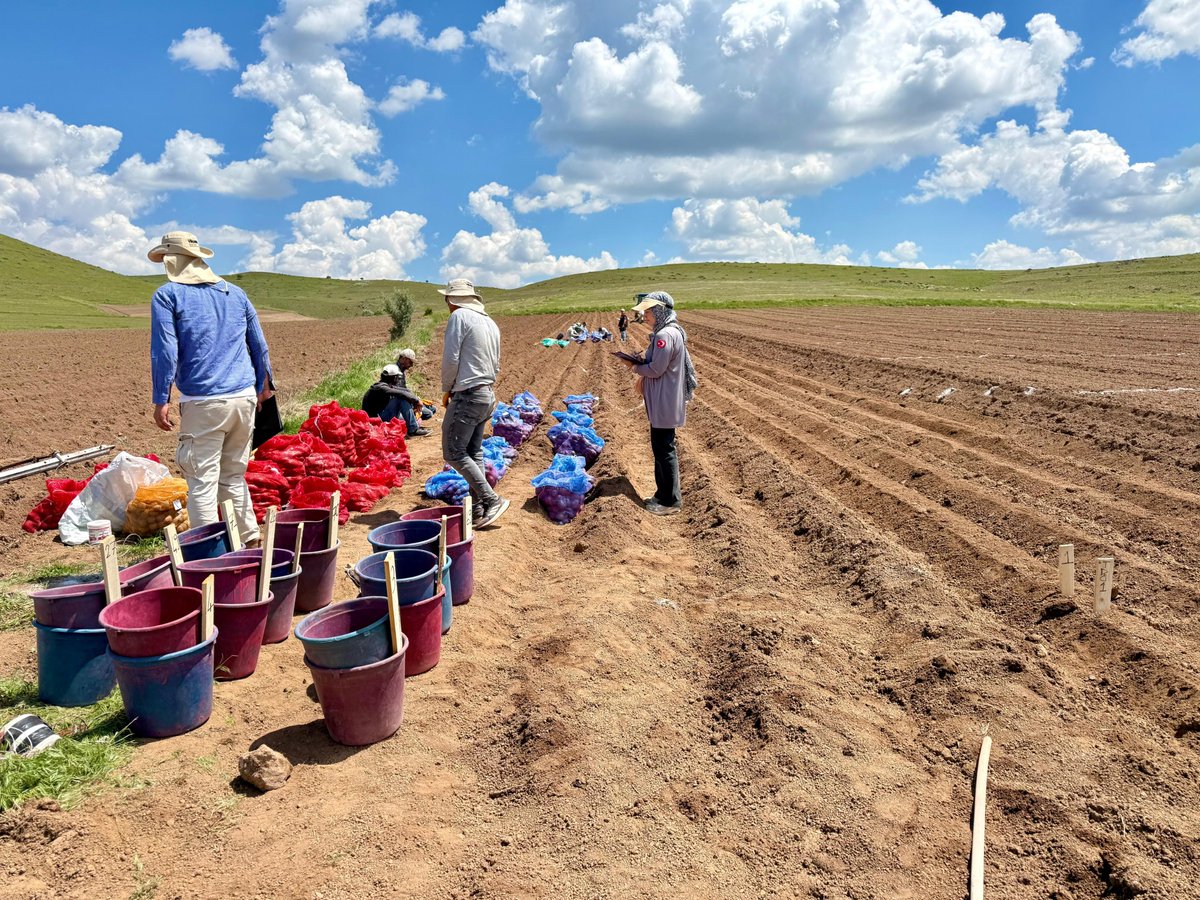 PatatesArsEnst's tweet photo. 🚜🌱🌱Tohumluk Tescil ve Sertifikasyon Merkez Müdürlüğü (TTSM) ve Enstitümüz işbirliği ile yürütülmekte olan Tarımsal Değerleri Ölçme (TDÖ) Denemeleri Nevşehir/Kuyulutatlar lokasyonu dikimleri gerçekleştirildi. 🚜 🥔🥔

Destekleri için Hakan Gıda’ya çok teşekkür ederiz. https://t.co/PmpRalG2z0