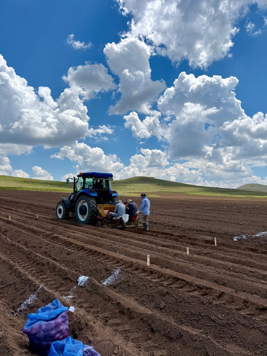 PatatesArsEnst's tweet photo. 🚜🌱🌱Tohumluk Tescil ve Sertifikasyon Merkez Müdürlüğü (TTSM) ve Enstitümüz işbirliği ile yürütülmekte olan Tarımsal Değerleri Ölçme (TDÖ) Denemeleri Nevşehir/Kuyulutatlar lokasyonu dikimleri gerçekleştirildi. 🚜 🥔🥔

Destekleri için Hakan Gıda’ya çok teşekkür ederiz. https://t.co/PmpRalG2z0