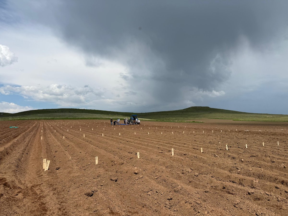 PatatesArsEnst's tweet photo. 🚜🌱🌱Tohumluk Tescil ve Sertifikasyon Merkez Müdürlüğü (TTSM) ve Enstitümüz işbirliği ile yürütülmekte olan Tarımsal Değerleri Ölçme (TDÖ) Denemeleri Nevşehir/Kuyulutatlar lokasyonu dikimleri gerçekleştirildi. 🚜 🥔🥔

Destekleri için Hakan Gıda’ya çok teşekkür ederiz. https://t.co/PmpRalG2z0