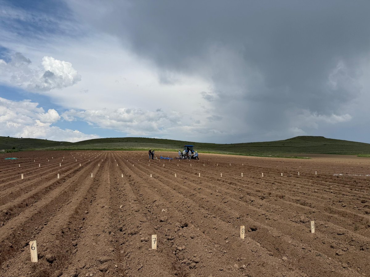 PatatesArsEnst's tweet photo. 🚜🌱🌱Tohumluk Tescil ve Sertifikasyon Merkez Müdürlüğü (TTSM) ve Enstitümüz işbirliği ile yürütülmekte olan Tarımsal Değerleri Ölçme (TDÖ) Denemeleri Nevşehir/Kuyulutatlar lokasyonu dikimleri gerçekleştirildi. 🚜 🥔🥔

Destekleri için Hakan Gıda’ya çok teşekkür ederiz. https://t.co/PmpRalG2z0
