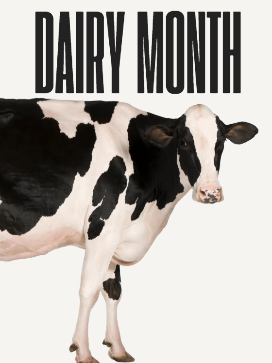 RepFischbach's tweet photo. Happy National Dairy Month! Dairy is a vital part of Minnesota’s economy, and our producers are helping feed the nation and the world! https://t.co/lPpPLItj28