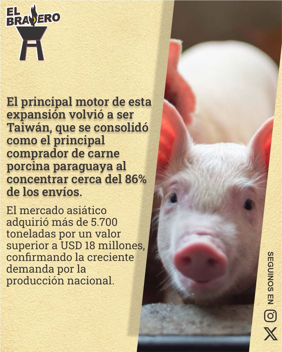 BraseroPy's tweet photo. Principal comprador https://t.co/XtjYtaJE6D