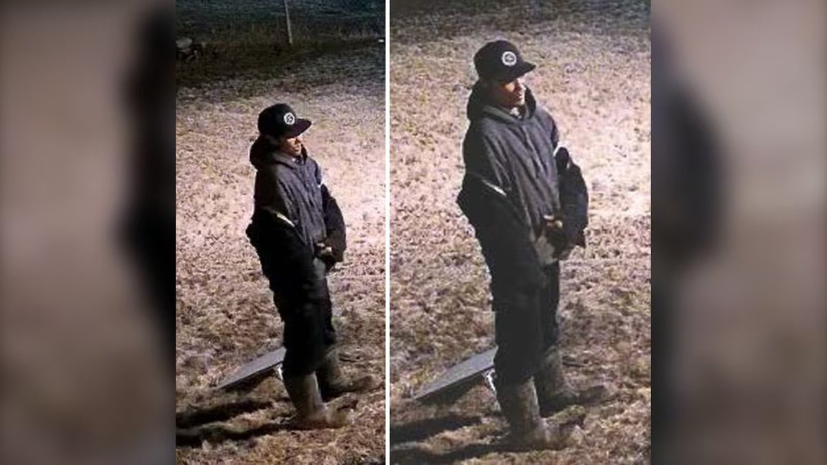 DriveTeslaca's tweet photo. The Saskatchewan RCMP are looking to identify a suspect alleged to have stolen a Starlink antenna from a home in Sandy Bay, about 450 km northeast of Prince Albert, around 1:30 a.m. on May 19.

The suspect is described as a man wearing a black baseball hat, black hoodie, black jacket, black pants, and brown boots.

Anyone with information is asked to contact the RCMP or Saskatchewan Crime Stoppers. 

@Starlink, can't you easily track where this antenna is?