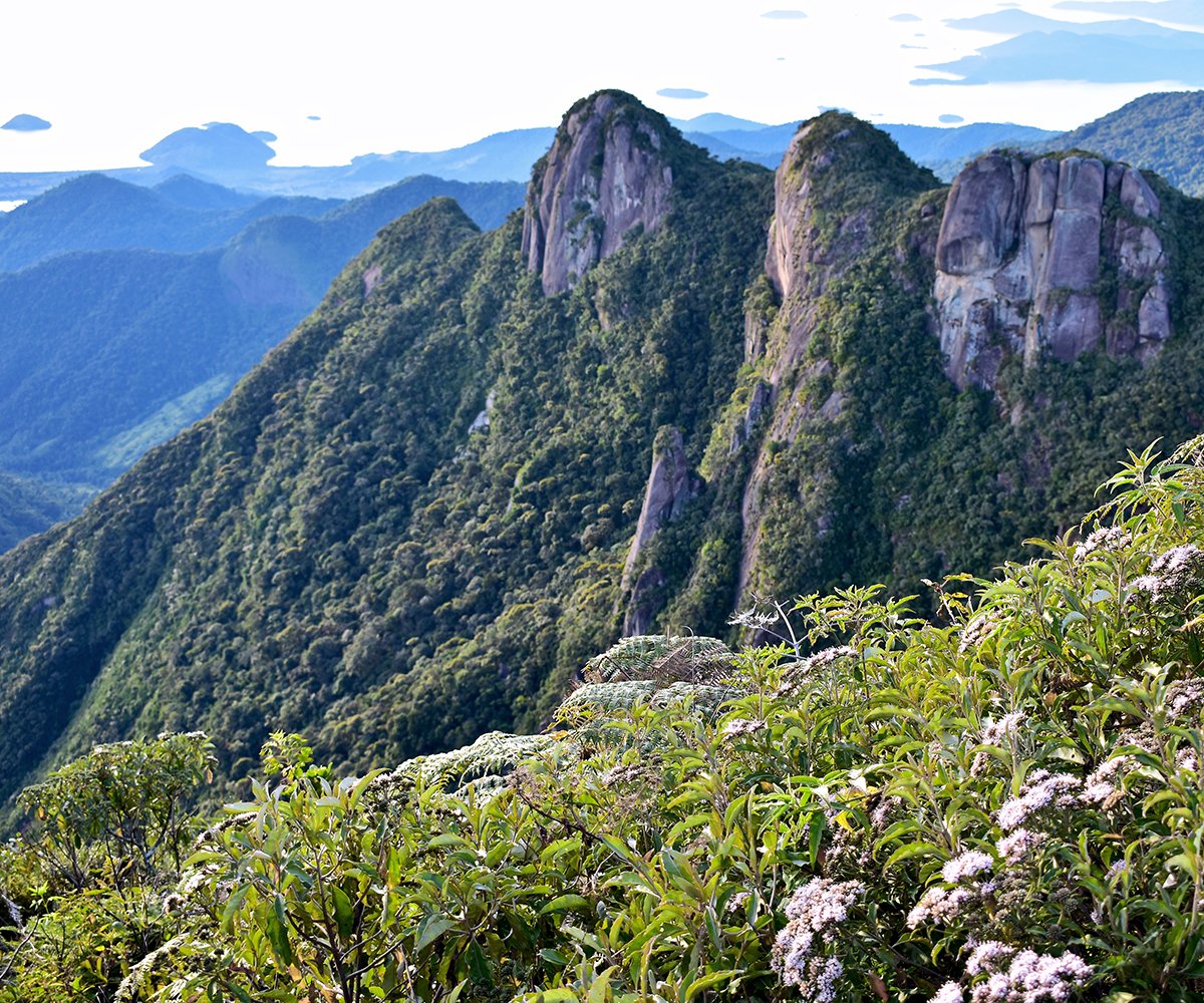 ecoturbr's tweet photo. PEDRA da MACELA com ALMOÇO GOURMET - 1 dia
Trilha da Pedra da Macela + Micro Cervejaria  Artesanal com degustação + Almoço Gourmet + Pôr-do-Sol no meio de um campo de lavandas!
✅ Conheça o roteiro: https://t.co/AoqznzsplE https://t.co/i2PbLq8MtO