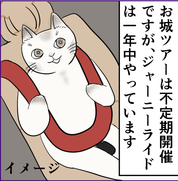 Flyingcat (@flyingcat77) / Posts / X