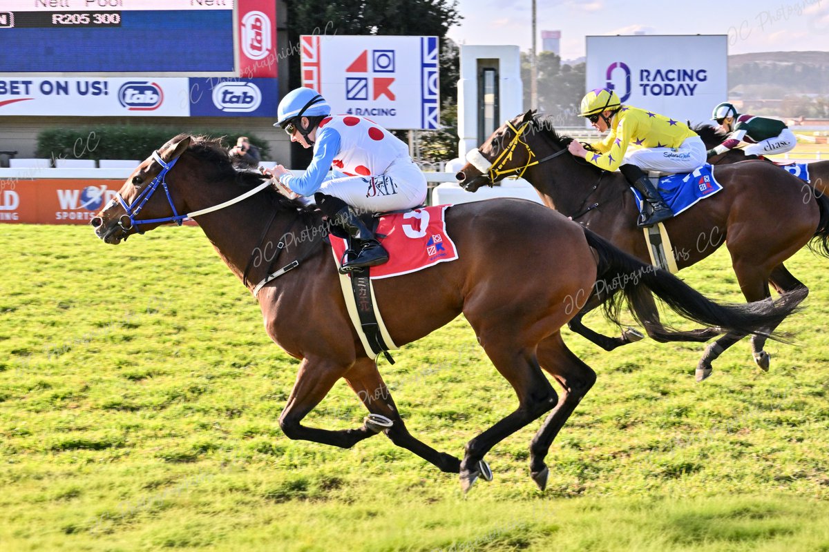 Race 7 Winner: WARNING SOUND 4 B f Lancaster Bomber (USA) - Siren’s ...