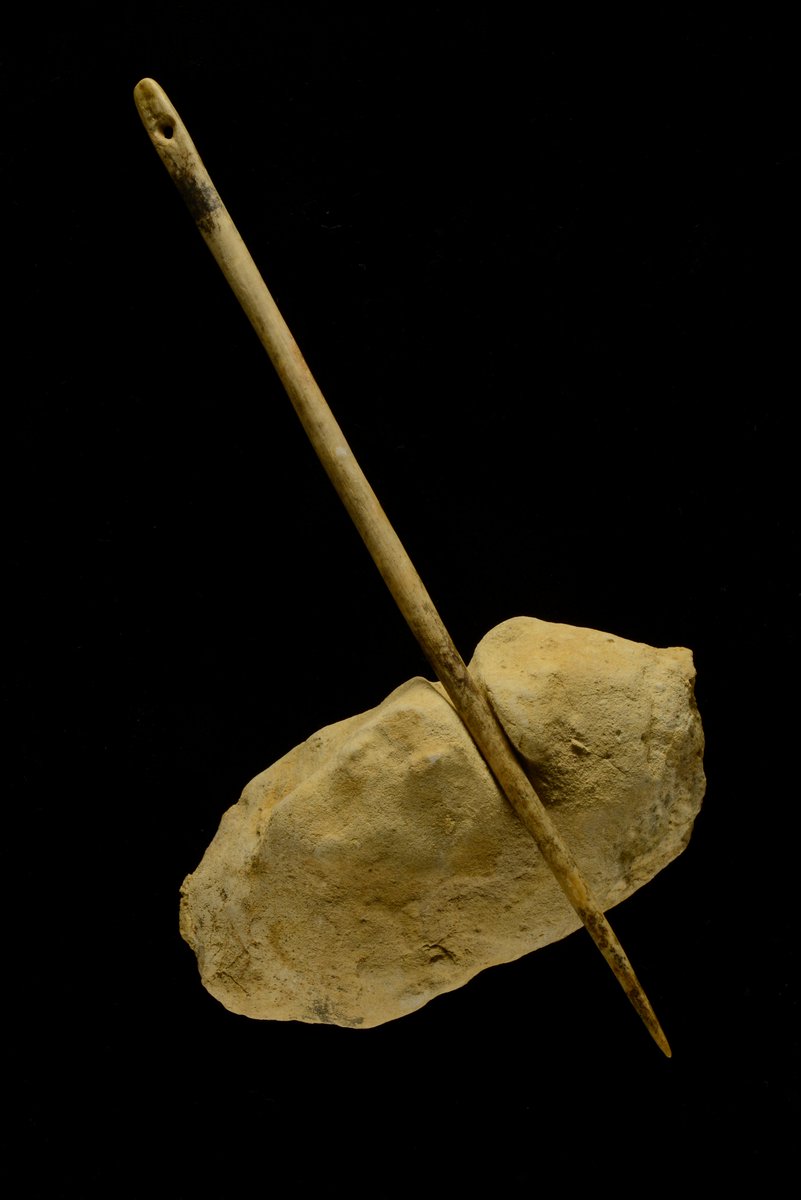 museodealtamira's tweet photo. Si esta piedra pudiera hablar, nos contaría algo increíble.

La #MuseumWeek nos propone que hoy hablemos de lo que nos pueden contar los objetos, y este es especialmente interesante.
🪨 Es una piedra de arenisca pulida de 8 cm de largo, con una incisión de sección circular. https://t.co/sMZ0yIuHvI