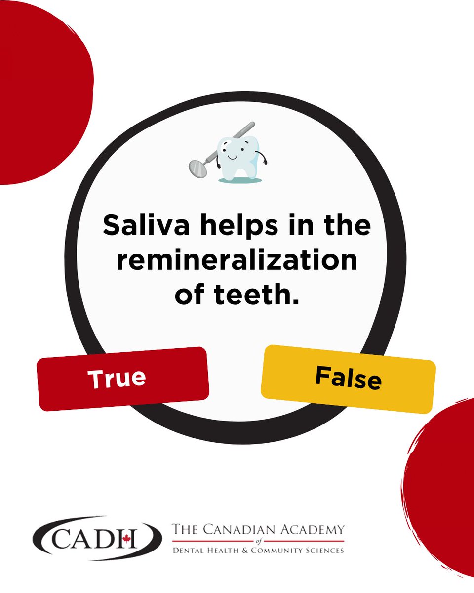 CADHCS's tweet photo. True or false? Saliva helps with the remineralization of teeth?

Share your answers in the comments section! ⬇️
.
.
.
.
.
.
.
True ✅ Saliva plays an important role in helping protect enamel by supplying minerals like calcium and phosphate.

#DentalFacts https://t.co/1Mx8LkMDnc