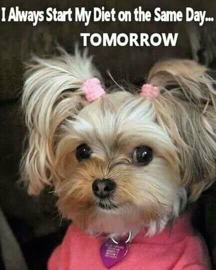 ChampneyLisa's tweet photo. #MyTShirtMessageSays . . . https://t.co/pSimm7CB3X