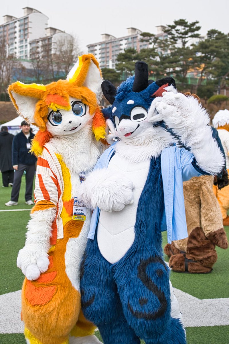 sh_in_nyong's tweet photo. 🧡🦊&amp;🐉✌️💙
#FursuitFriday #Fursuit #Basttie #ShinNyong #Amber https://t.co/Gs633ulUwd