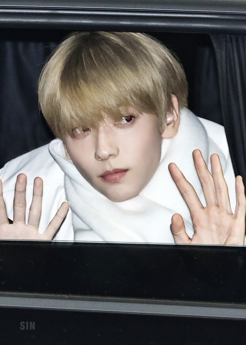 송이 tweet media