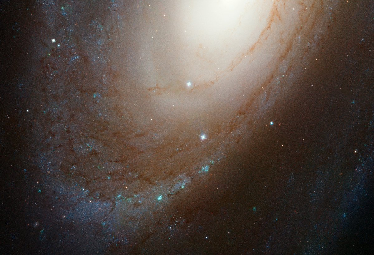 WorldAndScience's tweet photo. The grand spiral galaxy M81 shines within Ursa Major, approximately 12 million light-years from us.

Credit: NASA, ESA, A. Zezas (CfA), and A. Filippenko (UC Berkeley) - Acknowledgment: Hubble Heritage Team (STScI/AURA) &amp; O. Fox (University of California, Berkeley) https://t.co/B0mWodgvfx